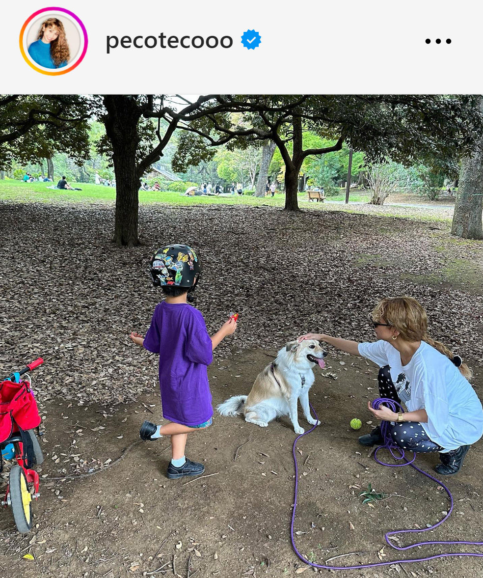 pecoのインスタグラムから