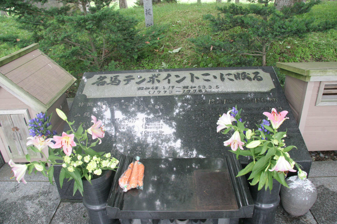 北海道早来町にあるテンポイントの墓　（2009年7月20日撮影）
