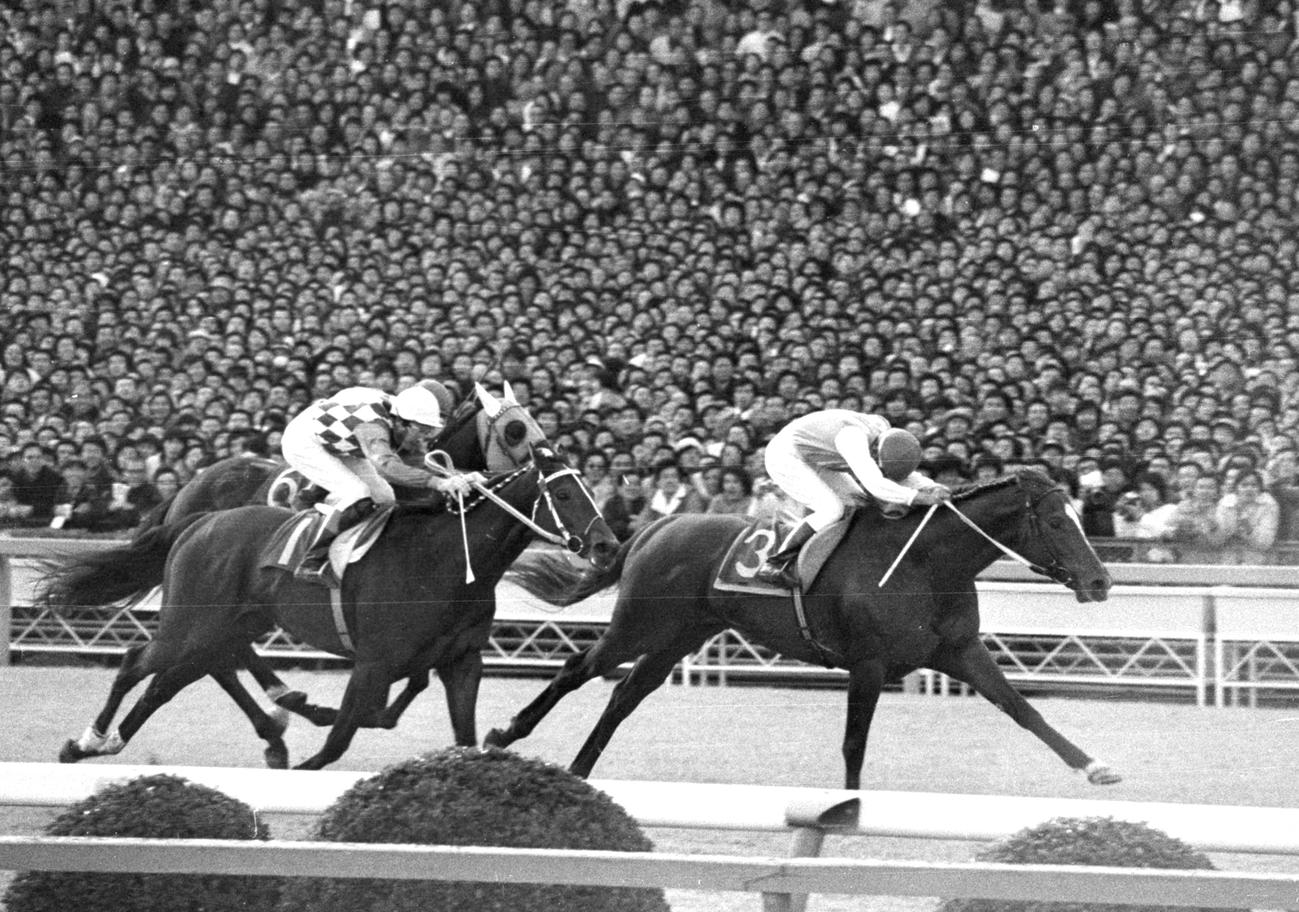77年有馬記念でトウショウボーイ、グリーングラスを下し優勝したテンポイント（右）