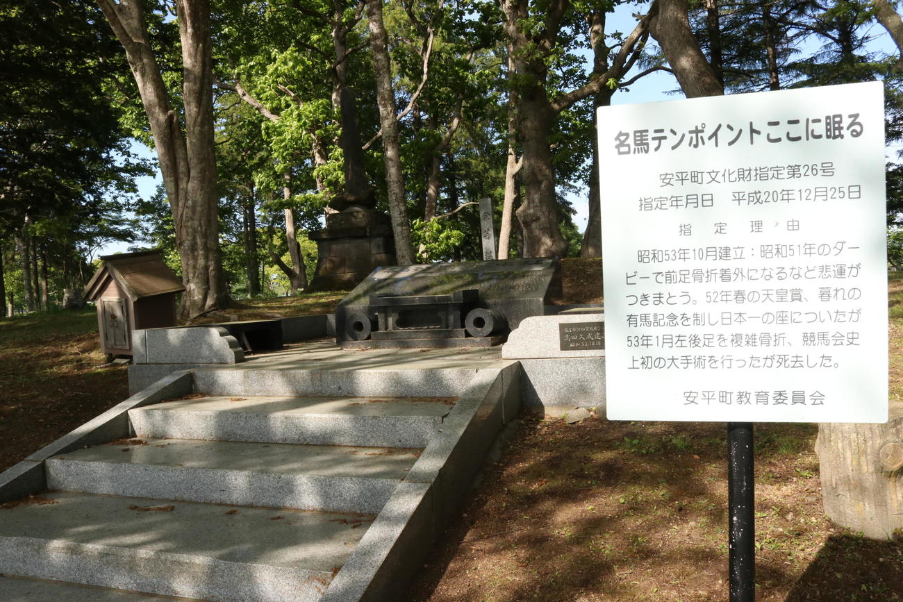 吉田牧場内に78年に建立されたテンポイントの墓石