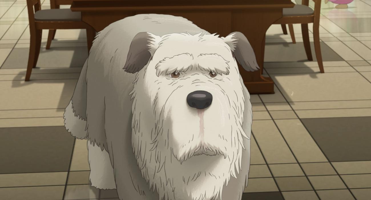 アニメーション映画「屋根裏のラジャー」で寺尾聰が演じた老犬（C）2023 Ponoc
