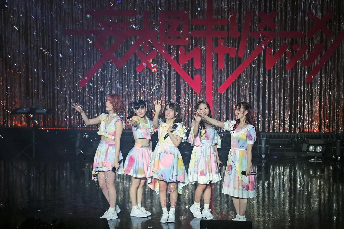約6年間の活動を終了した妄想キャリブレーション（2019年2月撮影）