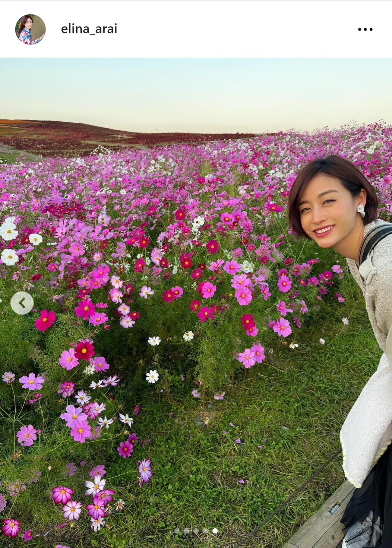 新井恵理那のインスタグラムから