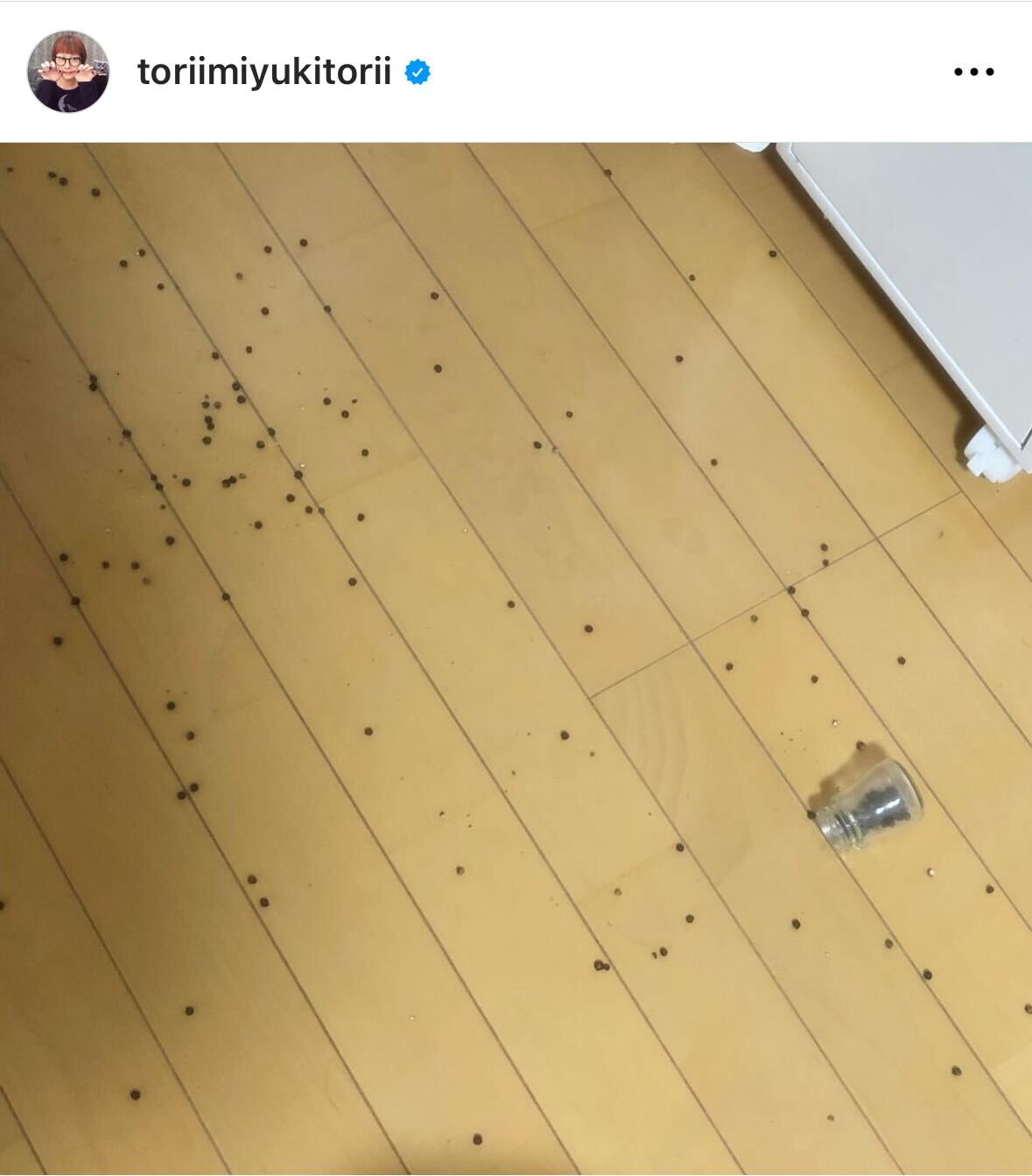 鳥居みゆきのインスタグラムから