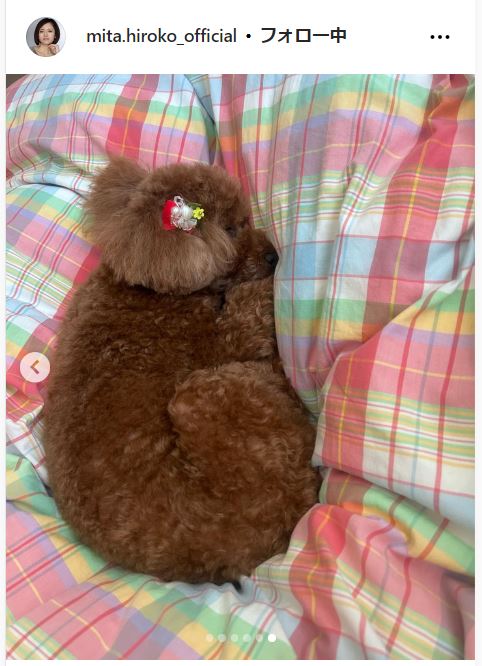 三田寛子のインスタグラムから