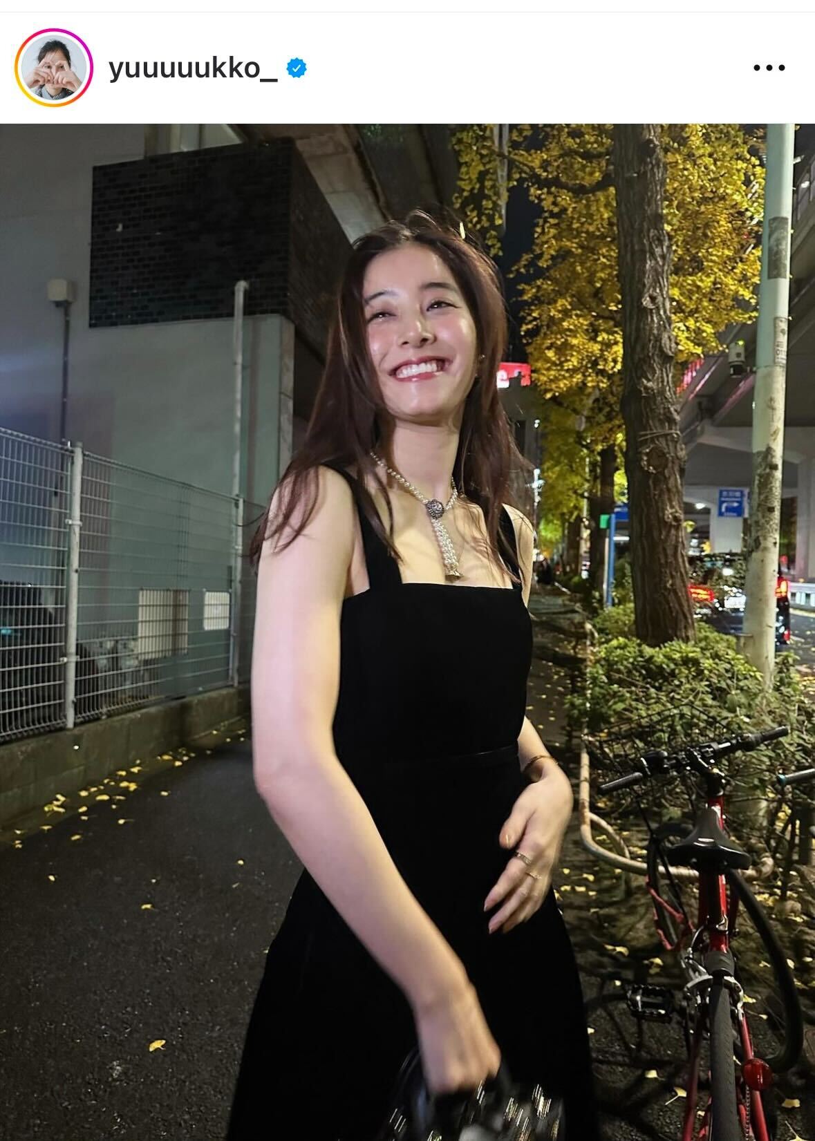 新木優子のインスタグラムから