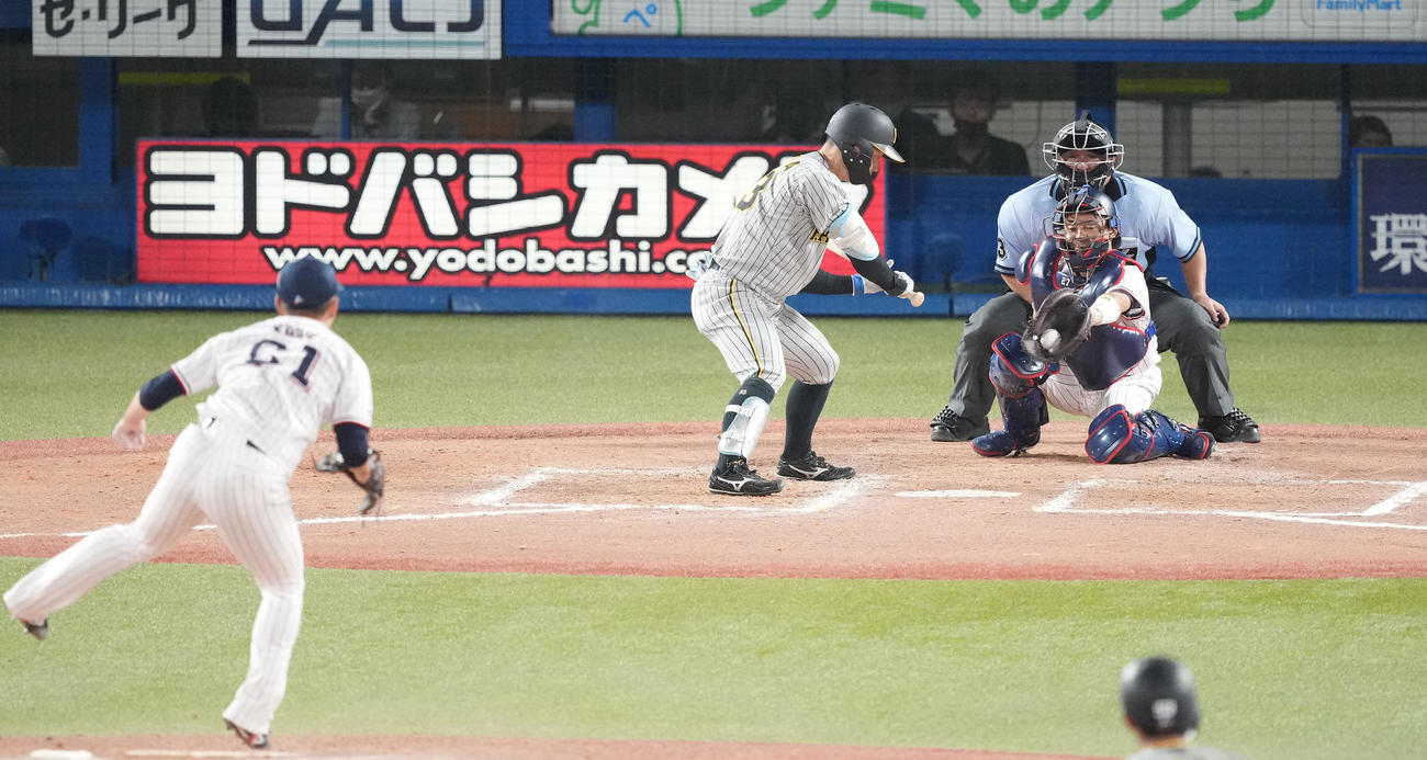 外角球を見逃す阪神糸原