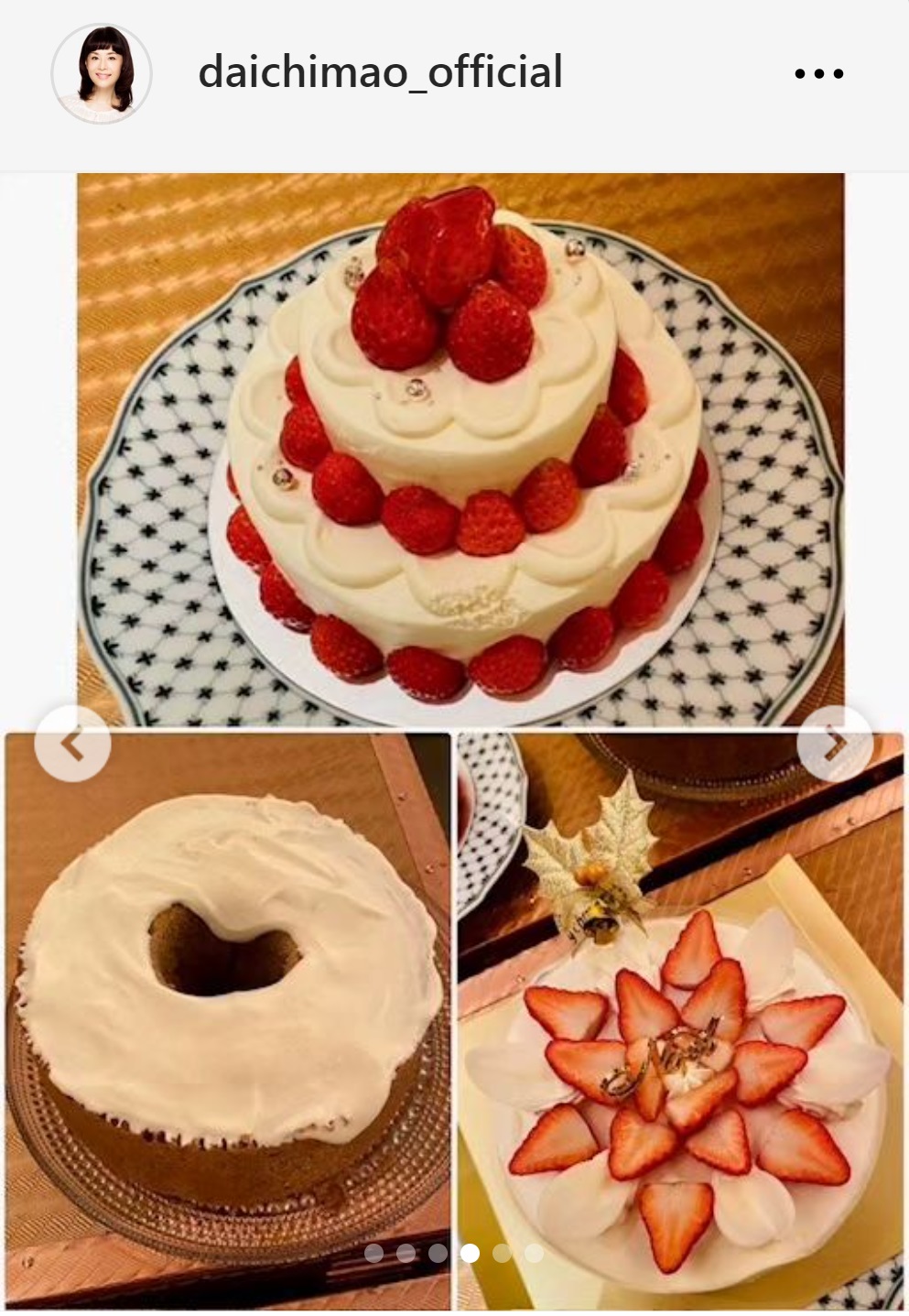 用意したクリスマスケーキ（大地真央のインスタグラムから）