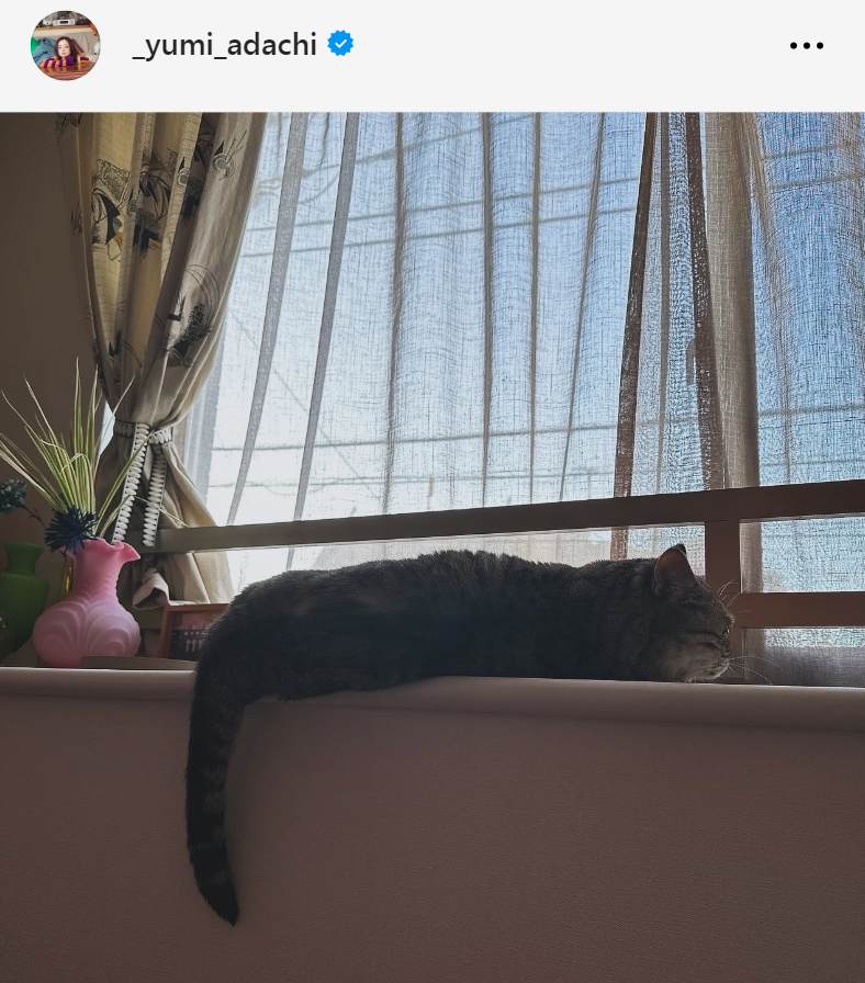 安達祐実のインスタグラムから