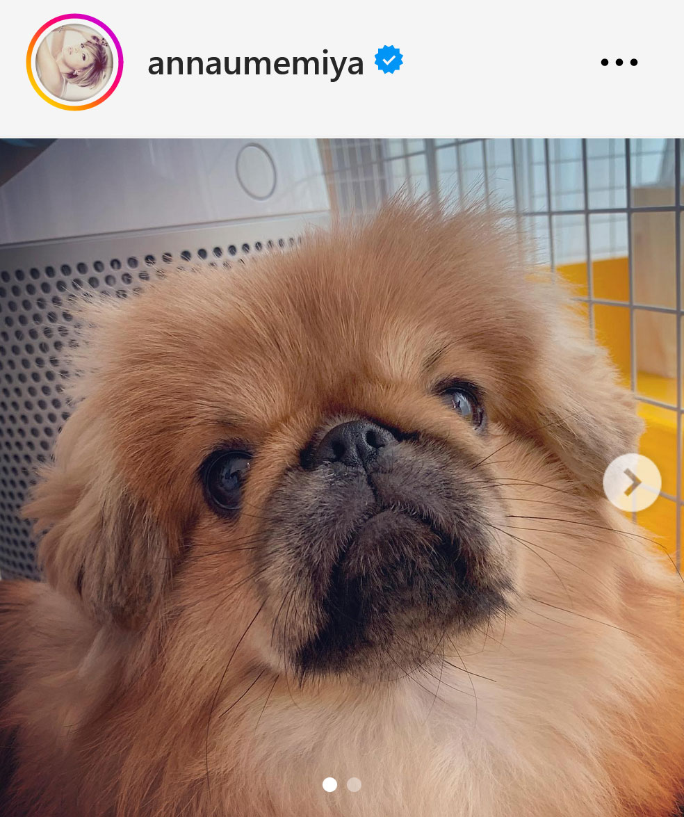 梅宮アンナのインスタグラムから