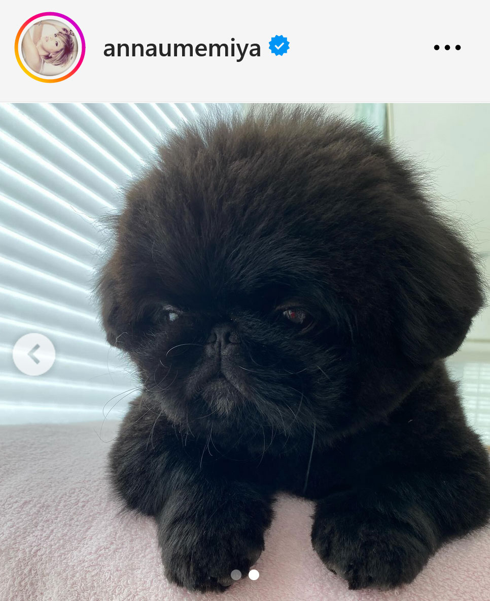 梅宮アンナのインスタグラムから