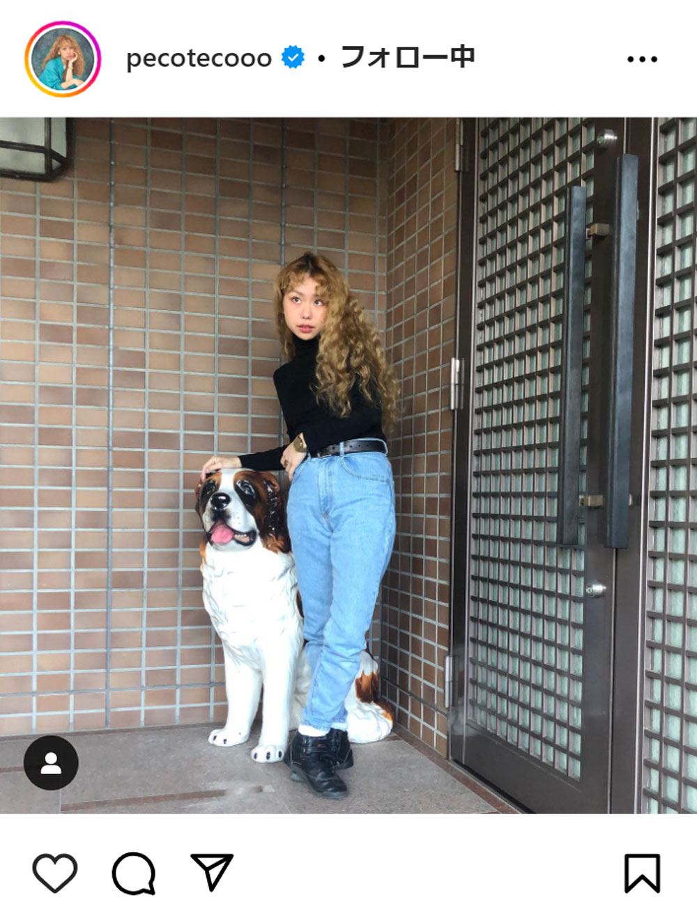 pecoのインスタグラムから