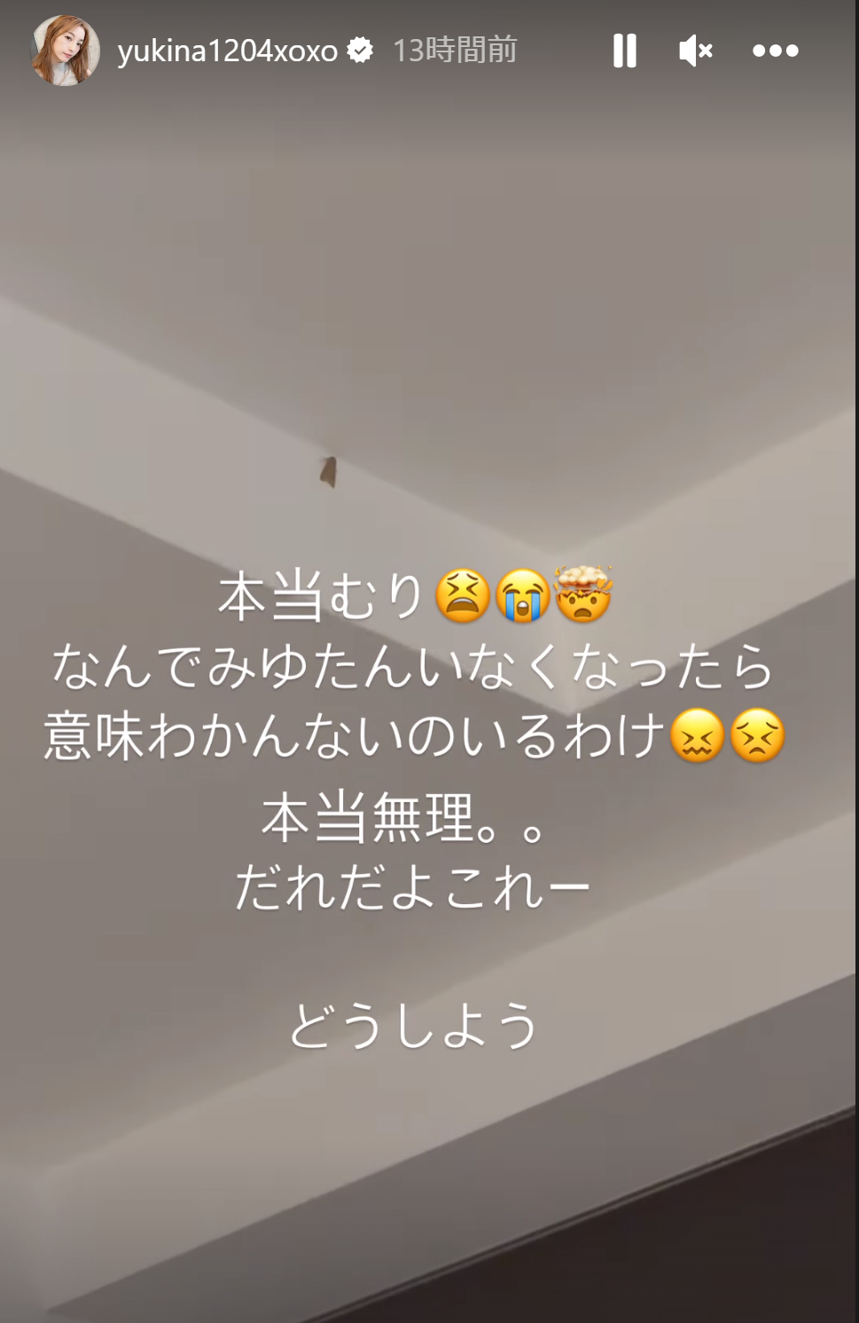 木下優樹菜のインスタグラムから