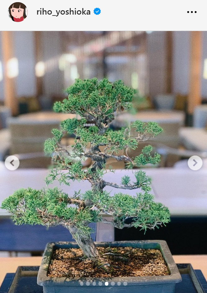 吉岡里帆のインスタグラムから
