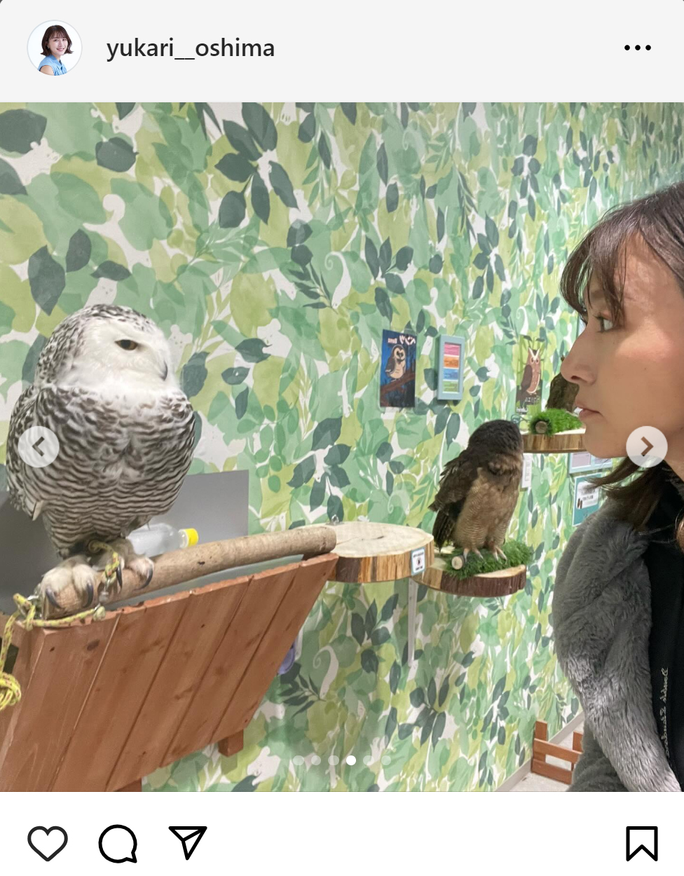 大島由香里のインスタグラムから