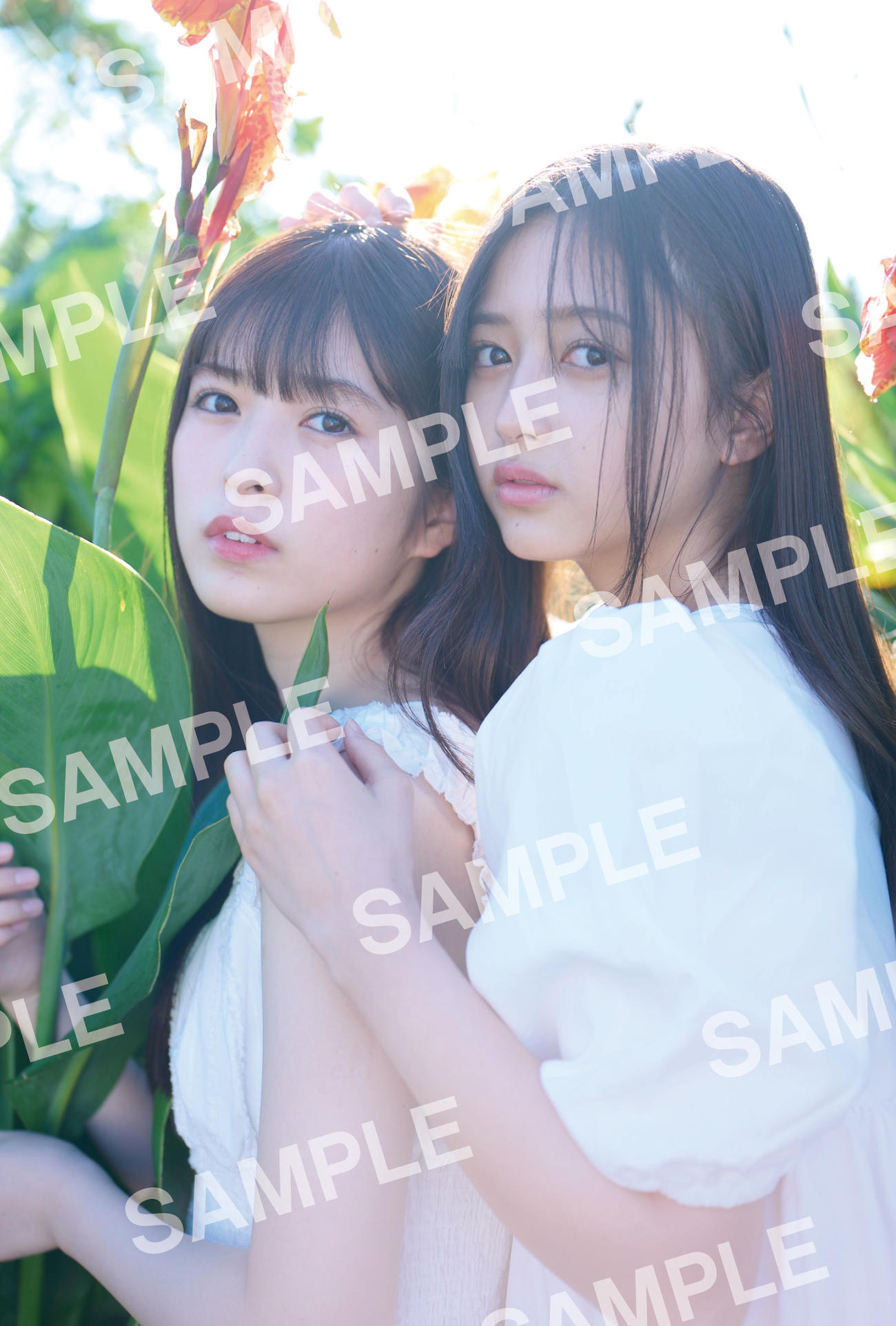 乃木坂46の5期生写真集「あの頃、乃木坂にいた」の特典ポストカード