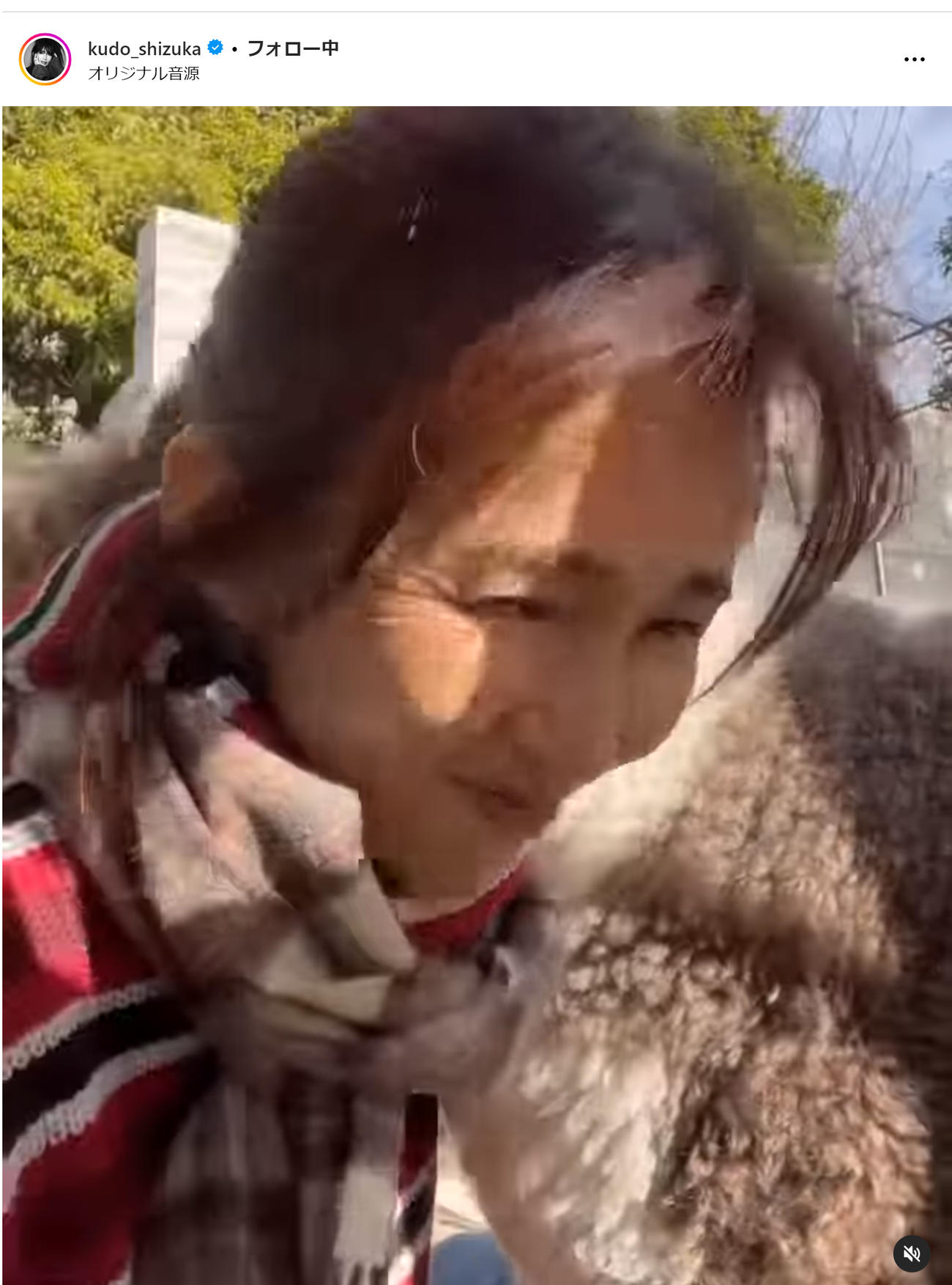 工藤静香のインスタグラムから