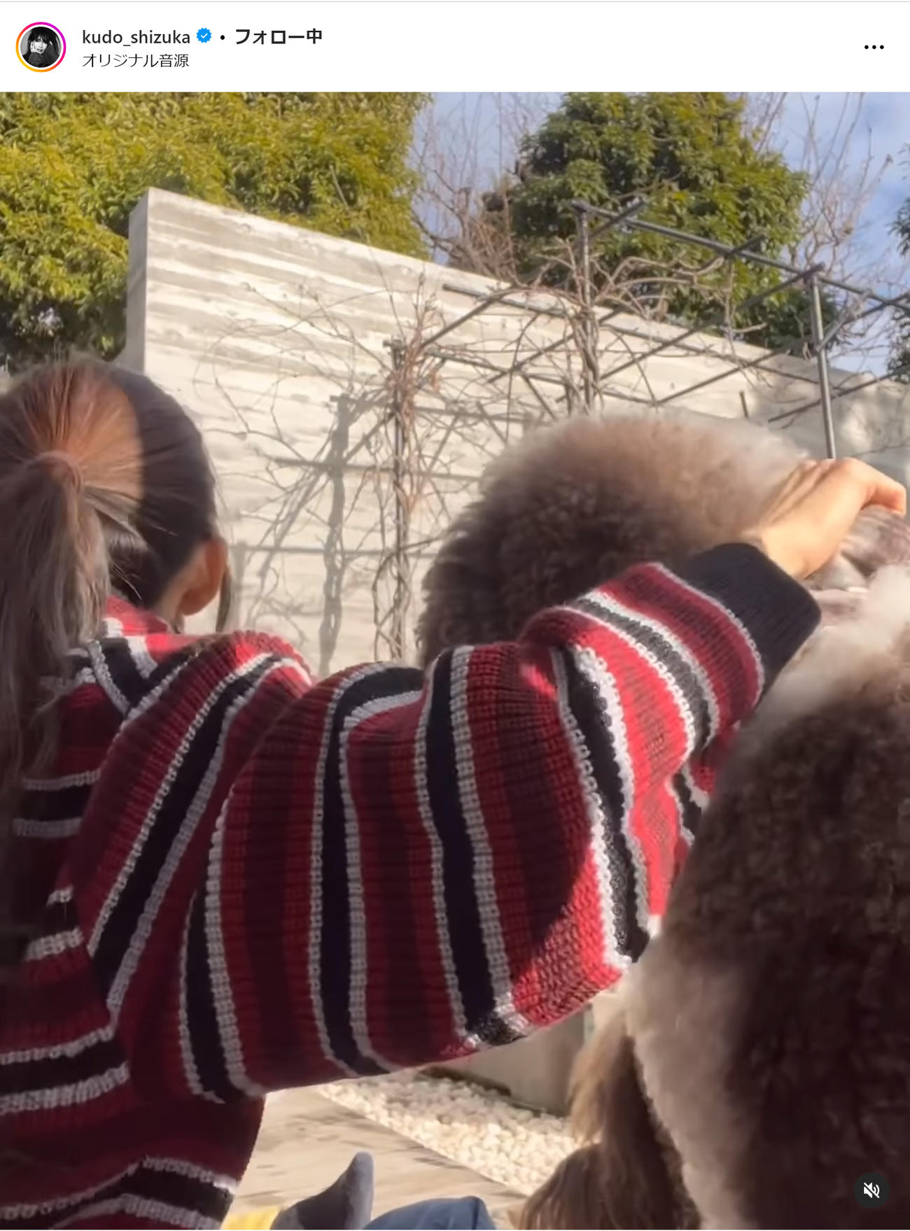 工藤静香のインスタグラムから