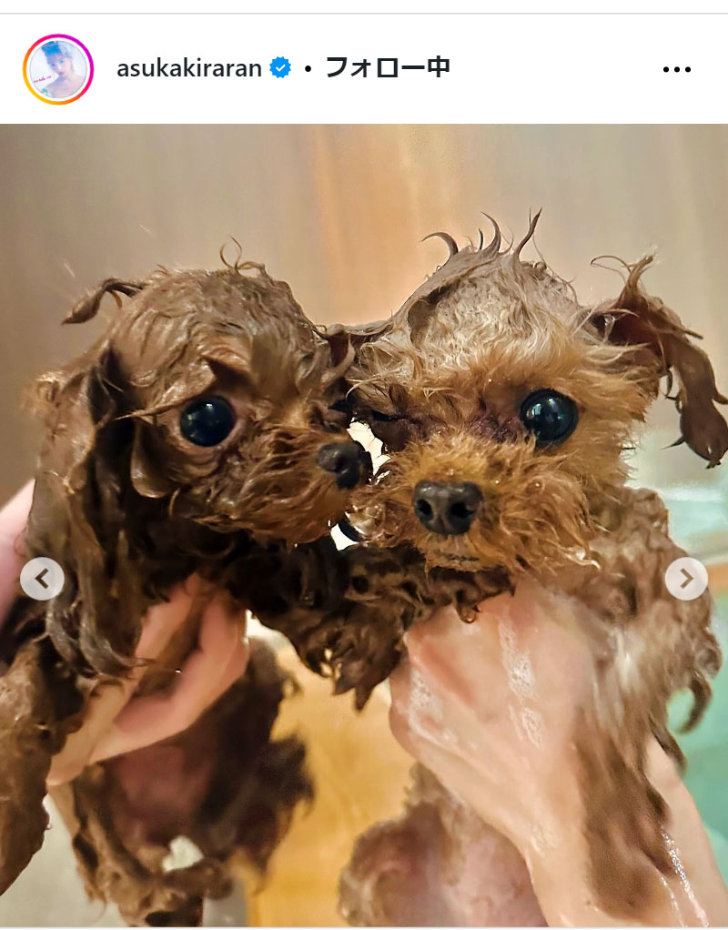 明日花キララのインスタグラムから