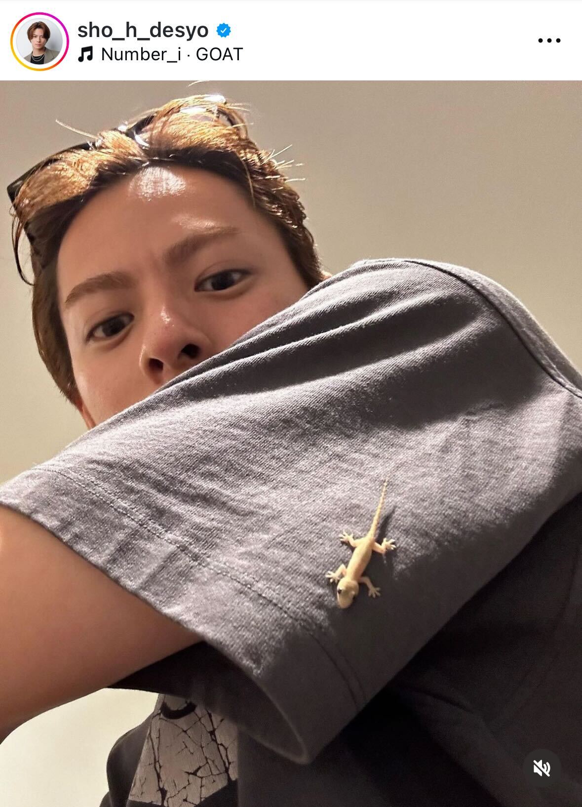 平野紫耀のインスタグラムから