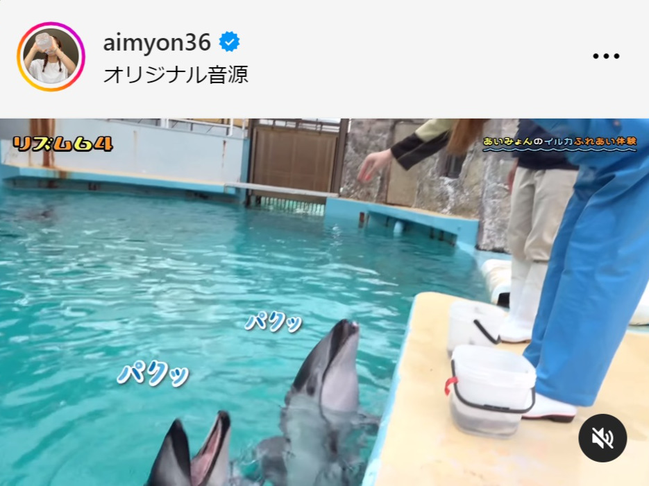 あいみょんのインスタグラムから