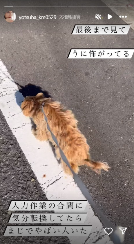 小湊よつ葉のインスタグラムから