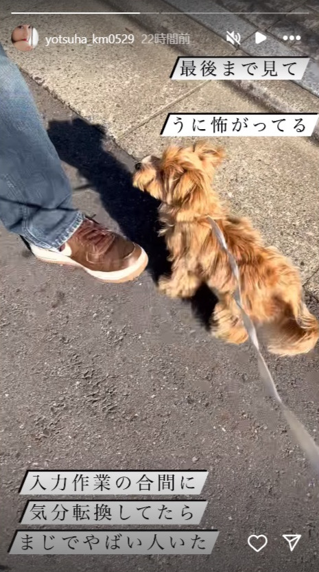 小湊よつ葉のインスタグラムから