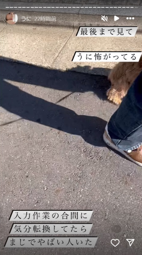 小湊よつ葉のインスタグラムから