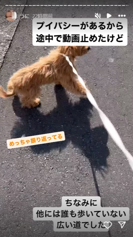 小湊よつ葉のインスタグラムから