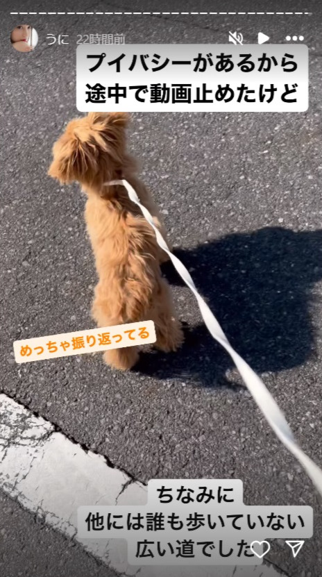 小湊よつ葉のインスタグラムから