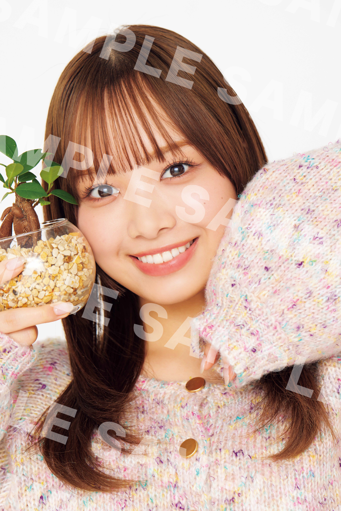 日向坂46公式ブック「H46 MODE vol．1」の特典フォトカード