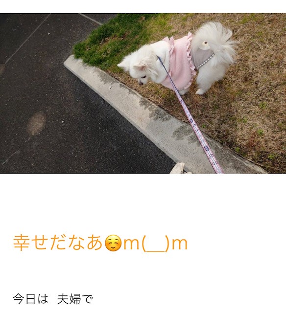 高橋英樹のブログから