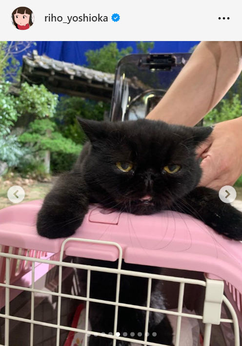 吉岡里帆のインスタグラムから