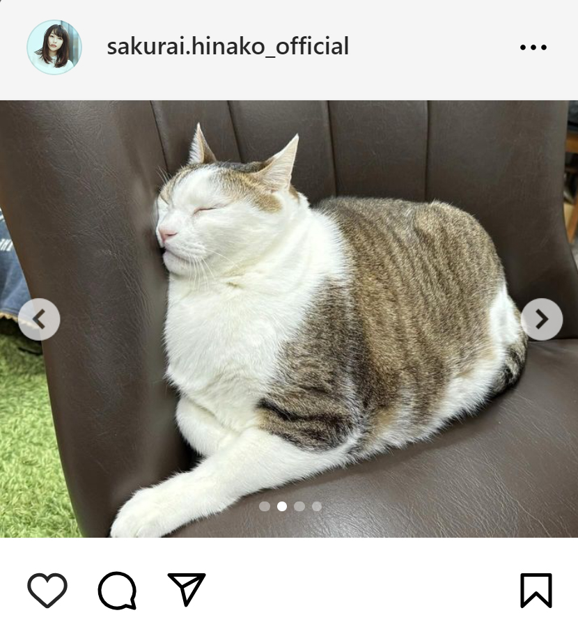 桜井日奈子のインスタグラムから