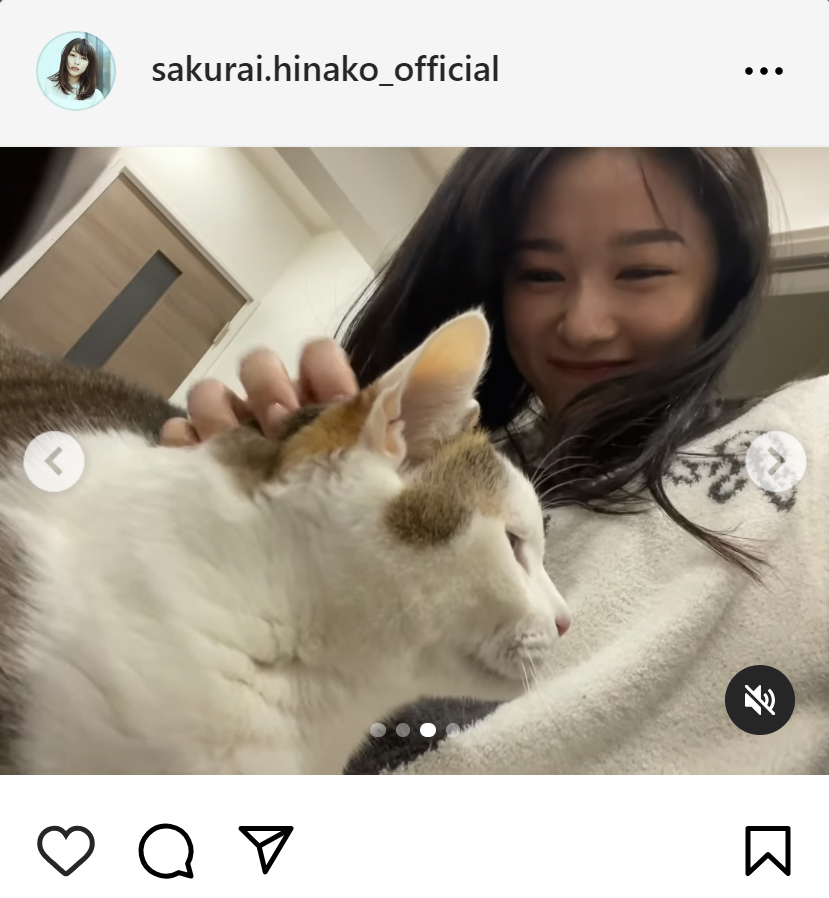 桜井日奈子のインスタグラムから