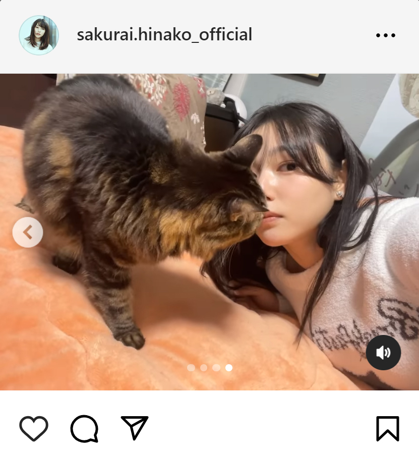 桜井日奈子のインスタグラムから