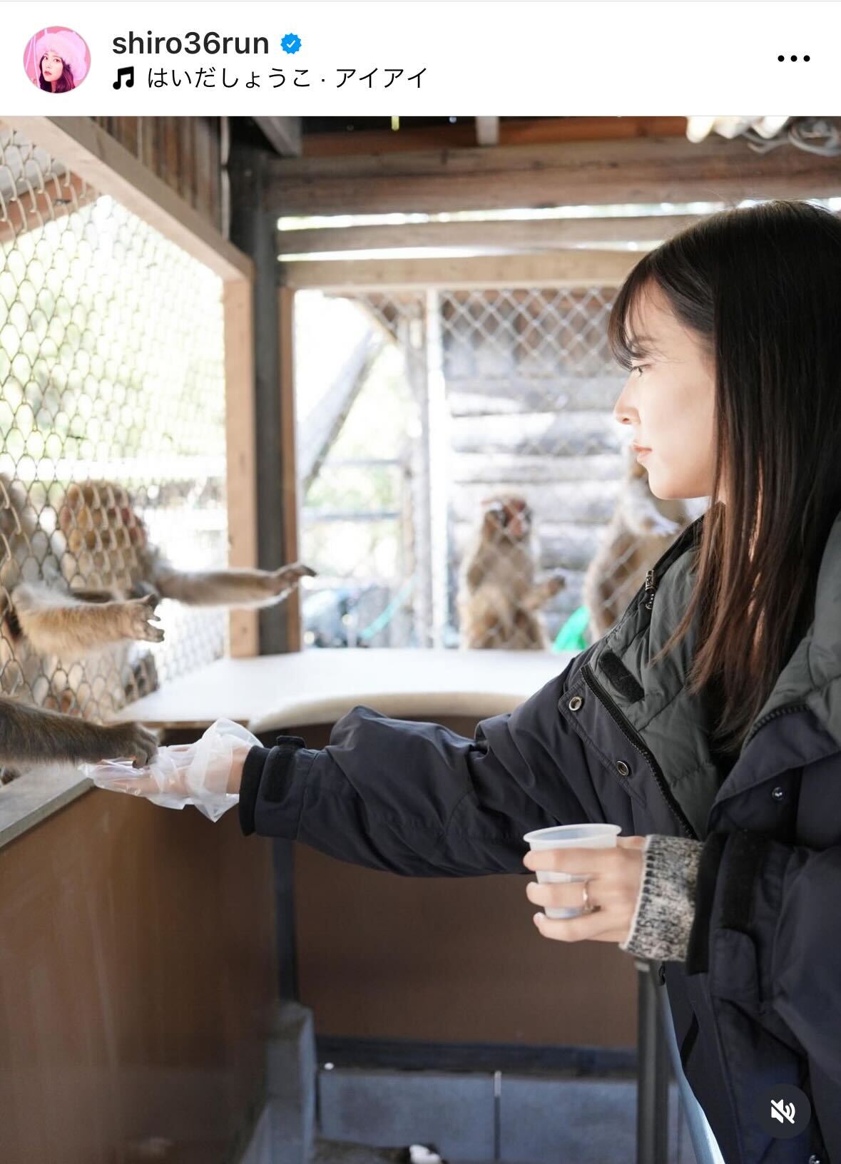 白間美瑠のインスタグラムから