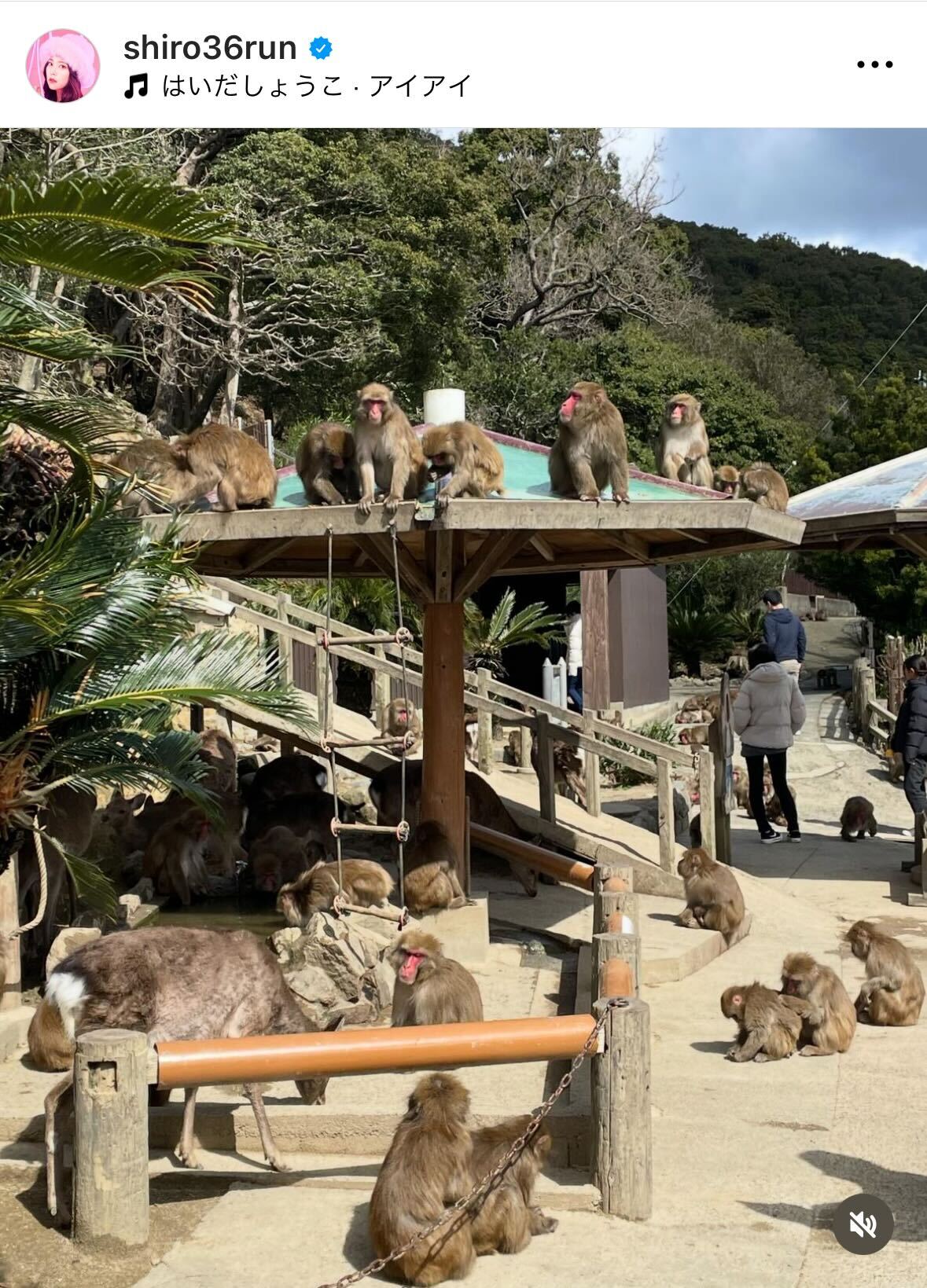 白間美瑠のインスタグラムから