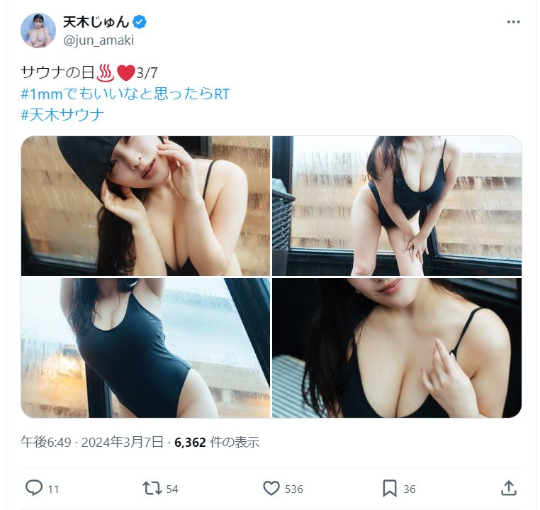 天木じゅんのＸから