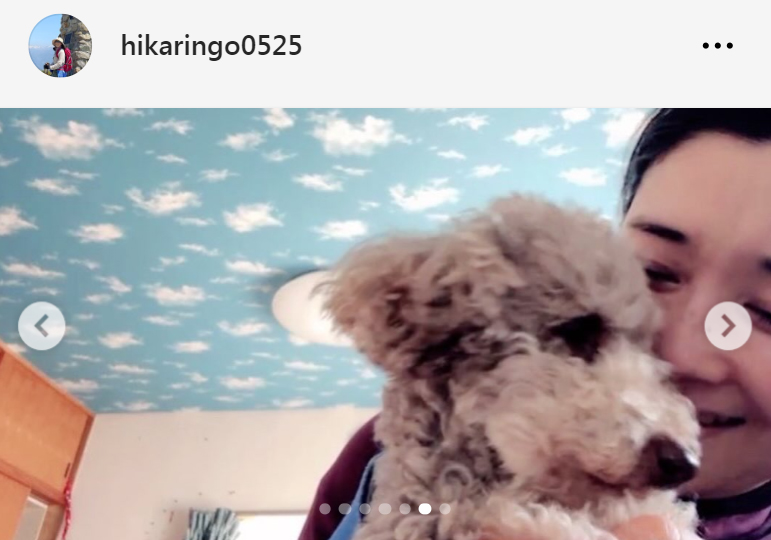 石田ひかりのインスタグラムから