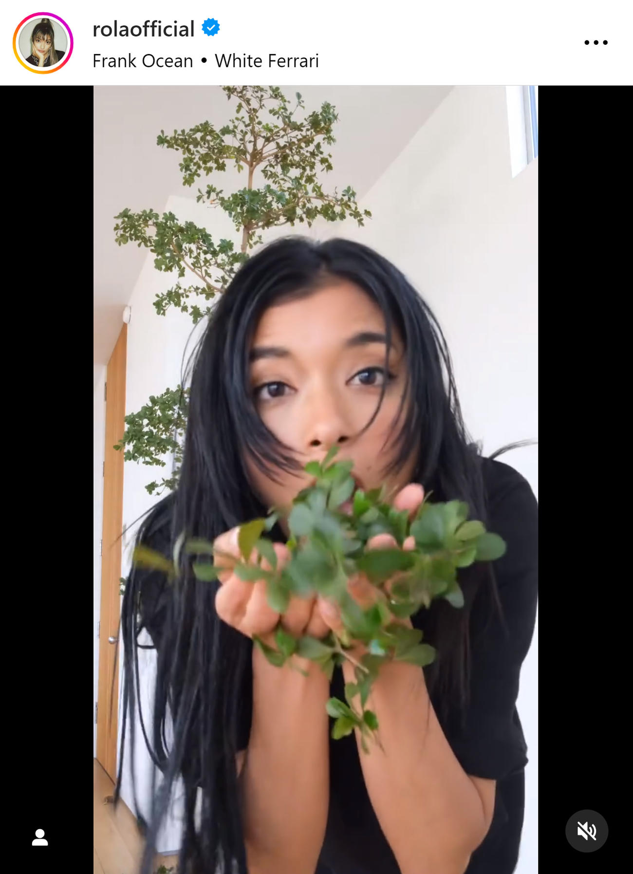 ローラのインスタグラムから