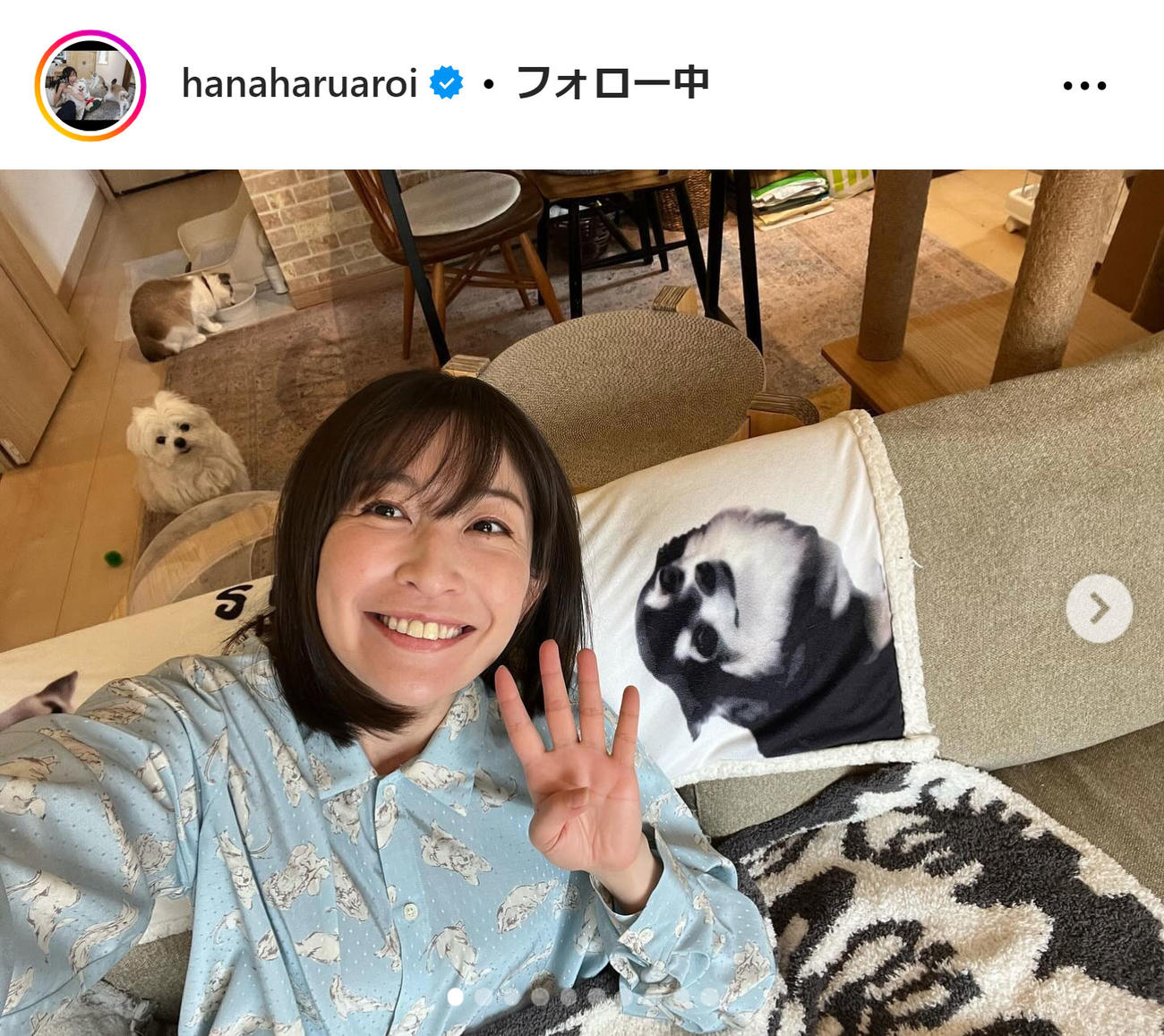 小野真弓のインスタグラムから