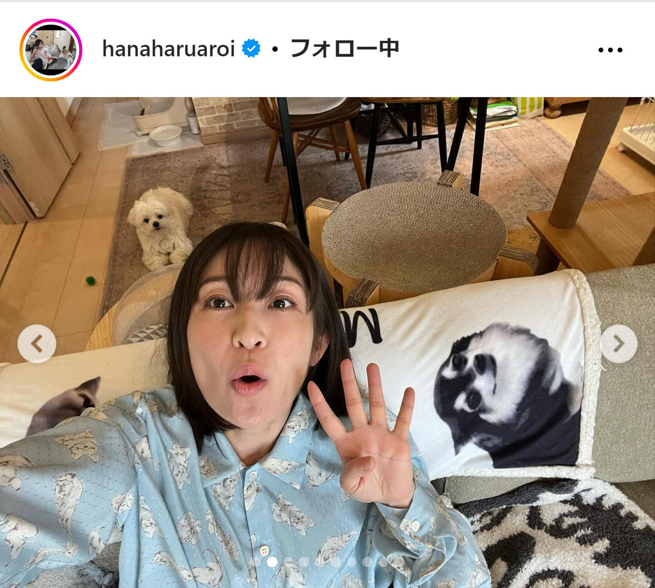 小野真弓のインスタグラムから