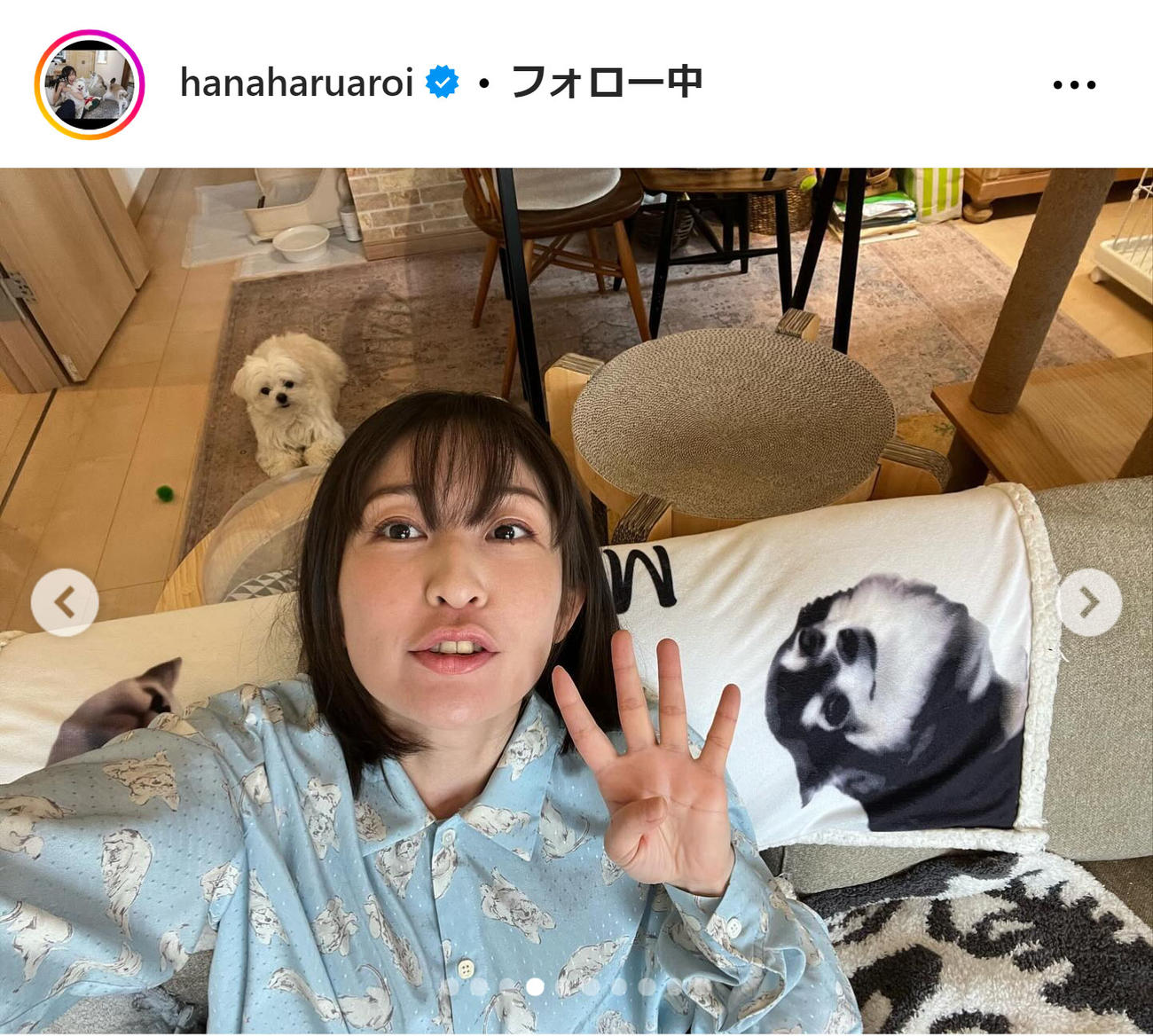 小野真弓のインスタグラムから