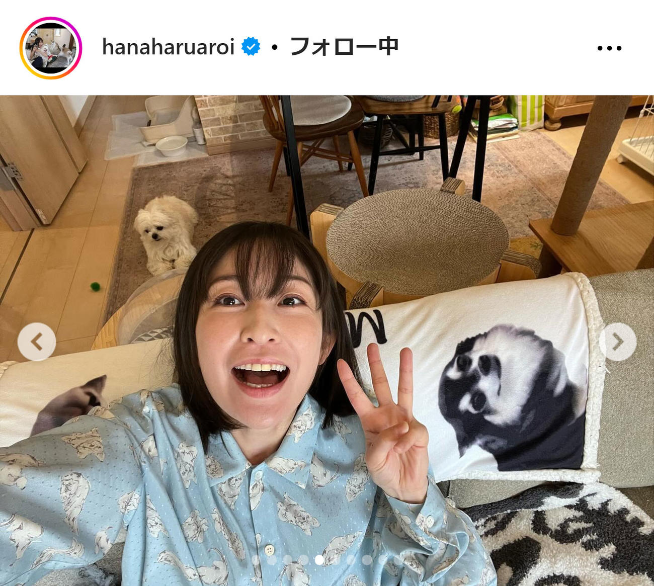 小野真弓のインスタグラムから