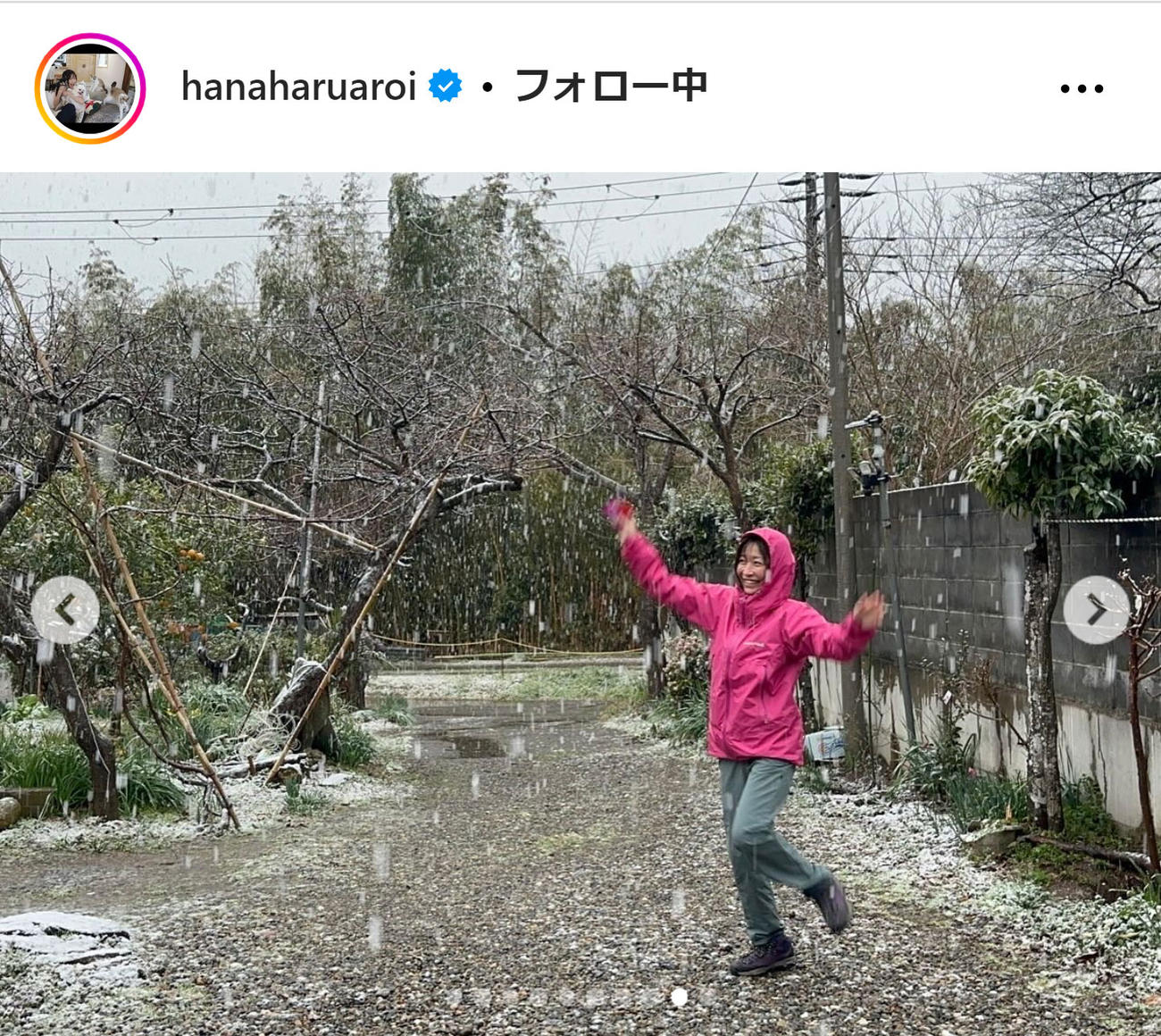 小野真弓のインスタグラムから