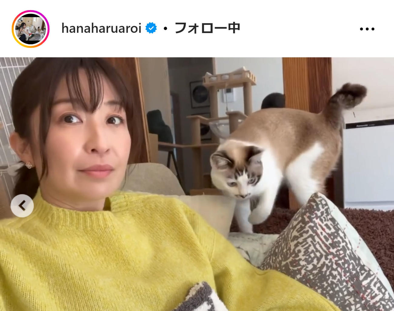 小野真弓のインスタグラムから