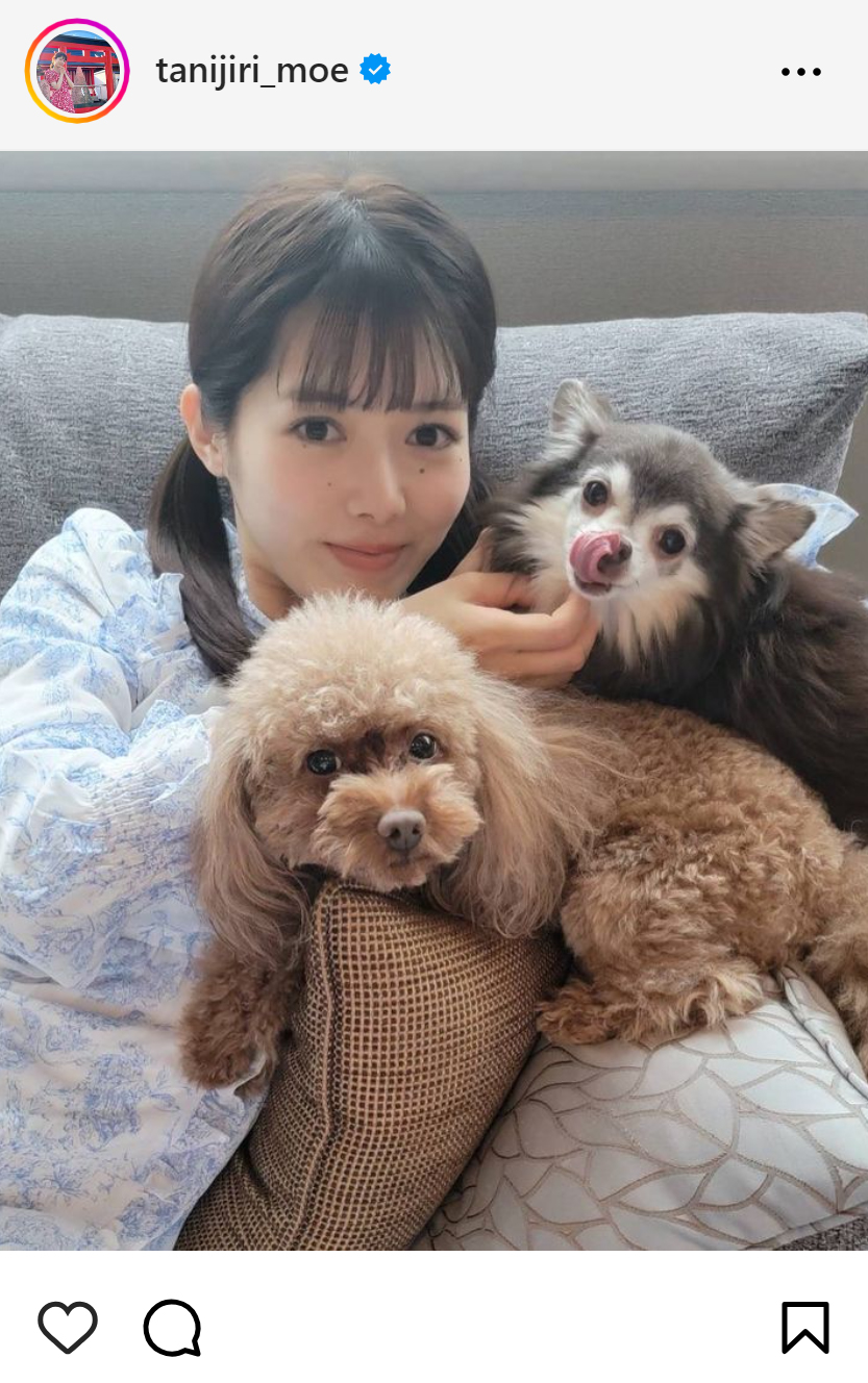 谷尻萌のインスタグラムから