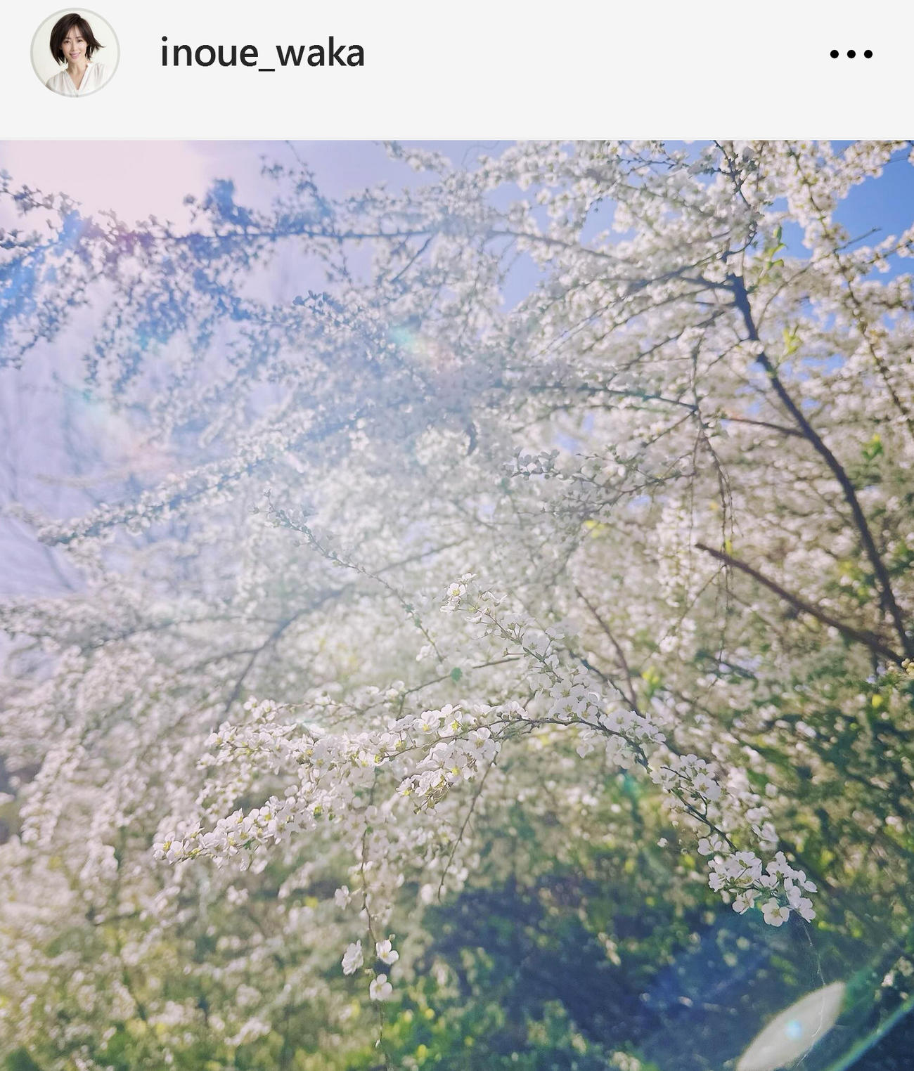 井上和香のインスタグラムから