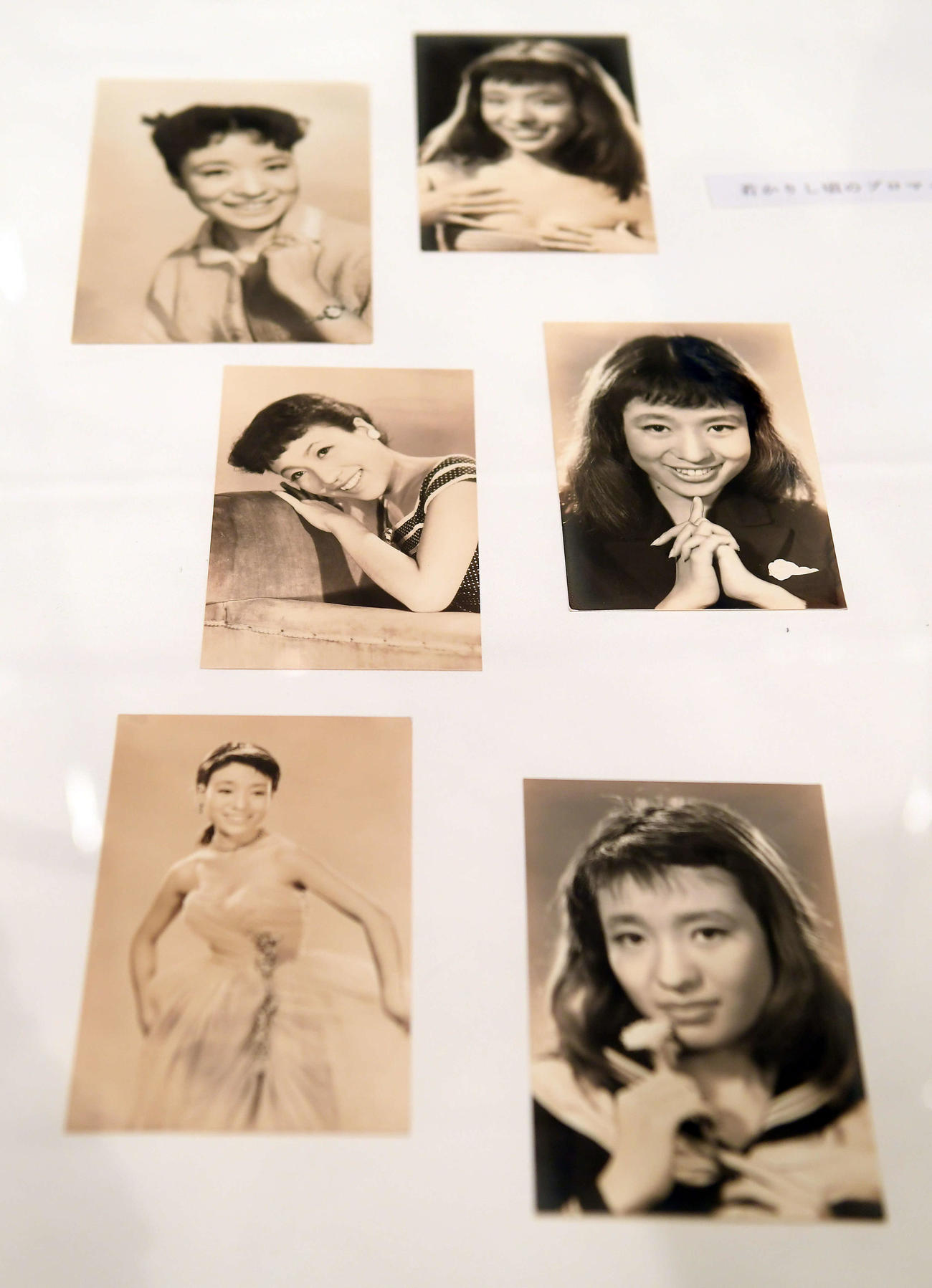 「中村メイコを乾杯で送る会」の会場には思い出の写真が展示された（撮影・たえ見朱実）